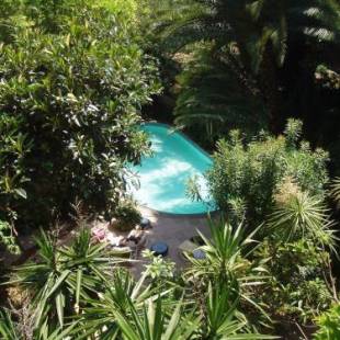 Фотографии гостиницы 
            Le Windsor, Jungle Art Hotel