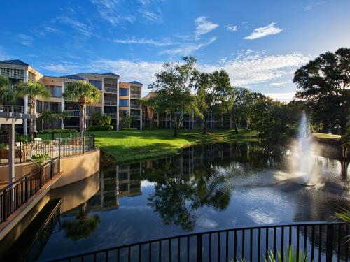 Фотография гостиницы Marriott's Royal Palms