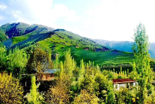 Фотография гостевого дома Spring Family Guest House