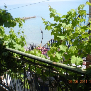 Фотография квартиры Апартаменты Кокос эллинг