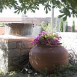 Фотография гостевого дома Marianna Mansion