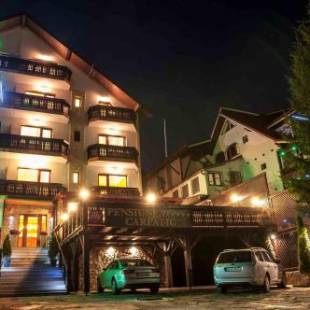 Фотографии гостевого дома
Carpatic