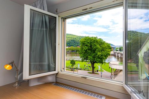 Фотография квартиры BS Neckar Apartment Heidelberg