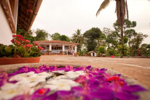 Фотография мини отеля The Blue Mountains Estate Stay