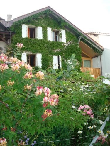 Фотография мини отеля Wonderlandscape Guest House