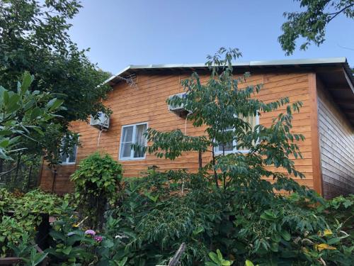 Фотографии гостевого дома
Экодом в Макопсе