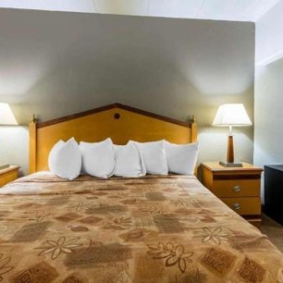 Фотография мотеля Lotus by Hotel Inn - Hot Springs