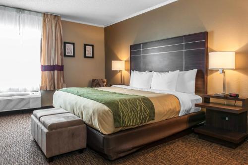 Фотография гостиницы Comfort Inn near I-69 and Washington Center Road