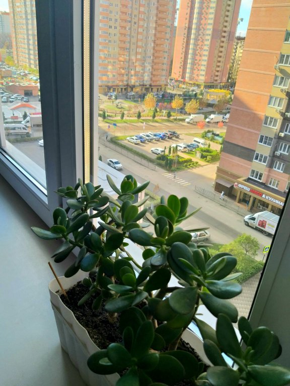 Фотография квартиры Апартаменты в Губернском