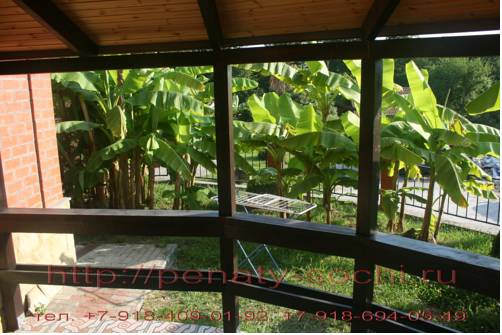 Фотографии гостиницы
Пенаты