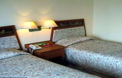 Фотографии гостиницы
Seaview Patong