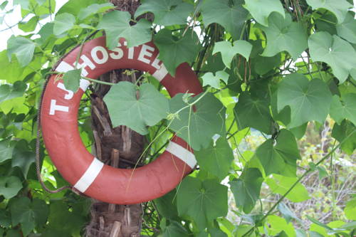 Фотографии хостела
TJ Guest House