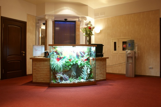 Фотографии гостиницы
Мята