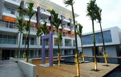 Фотографии гостиницы 
            Suga Palm