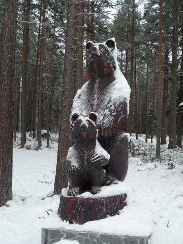 Фотографии гостиницы 
            Малая Медвежка