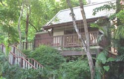 Фотографии гостиницы
Central Karon Village