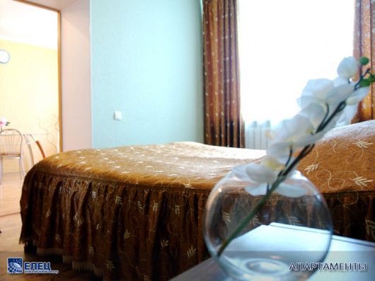 Фотографии гостиницы 
            Елец