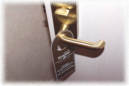 Фотографии гостиницы
Пушкин